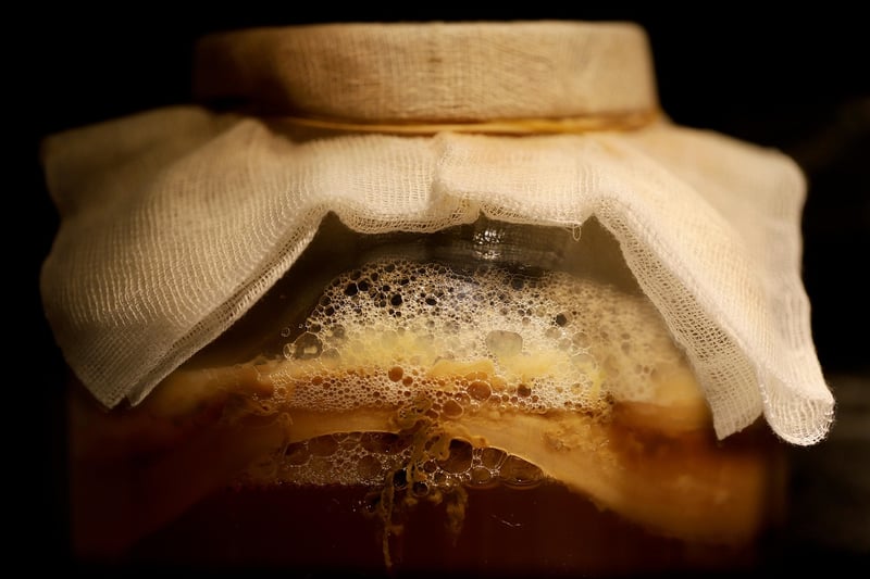 Fermentation Fever